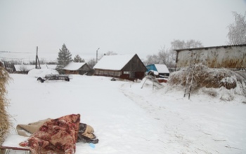 В Оренбуржье нашли мать, бросившую новорожденного сына замерзать на улице (18+)