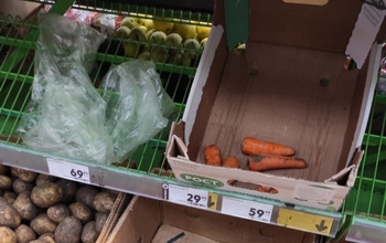 Куда в Оренбурге пропала дешёвая морковь?