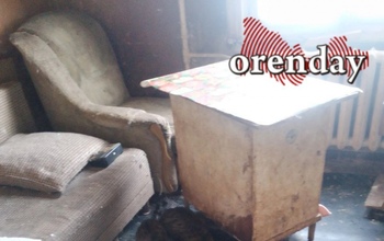 В Оренбурге 11 кошек, живущих в ужасных условиях, рискуют стать бездомными