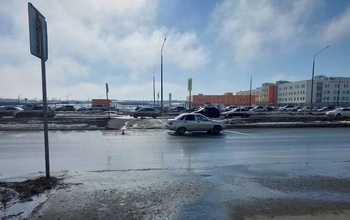 В Оренбурге начинающий водитель сбила на «зебре» пешехода