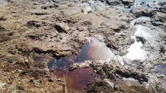 Не опять, а снова: в Пономаревском районе нефть разлилась на почву