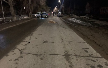 Лежал на дороге: в Сорочинске произошло смертельное ДТП