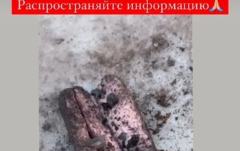 Собаки в опасности. В Оренбурге хвостатых угощают сосисками с лезвием