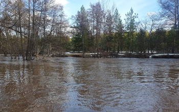  В районе Бузулукского бора уровень в реке Самара превысил критический на 115 см