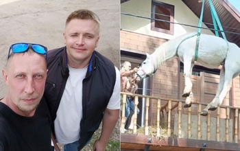 В Оренбурге спасли коня, пережидавшего паводок на балконе коттеджа