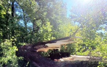 В районе хутора Степановского на дорогу упало большое дерево, перекрыв проезд