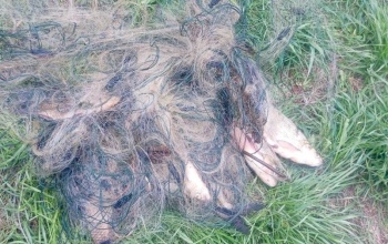 На реке Кумак задержали браконьера с сетями и уловом