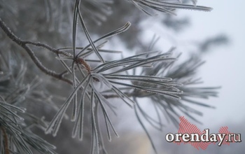 Какая погода ожидает оренбуржцев в начале последней недели зимы