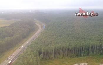 В мае оренбуржцы не смогут посещать ряд лесов