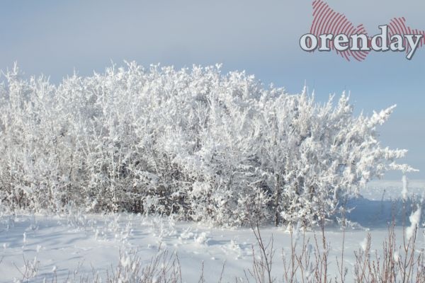 Чем порадует оренбуржцев погода в последние дни новогодних каникул