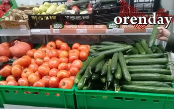 От мяса до овощей: как в Оренбуржье за неделю изменились цены на продукты