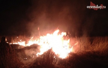 В Бузулукском районе пожар унёс жизнь мужчины (18+)