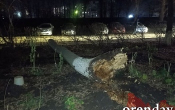 Не повезло с парковкой или с обслуживанием территории? Оренбуржец добился компенсации за авто, раздавленное деревом