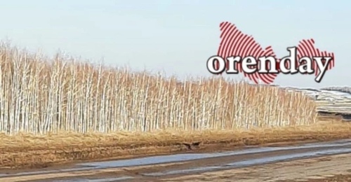 Суд обязал Правительство Оренбургской области обеспечить дорогой два района 