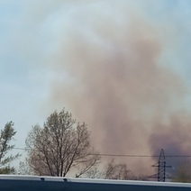 Под Оренбургом горят поля
