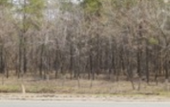 Поселок Российский, Октябрьский район