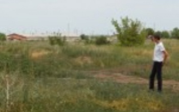 Лишь три многодетные семьи из Оренбурга решили строиться на бесплатной земле