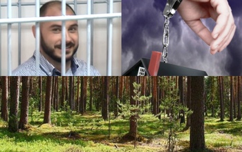 Чиновника-взяточника из Минлесхоза заключили под домашний арест
