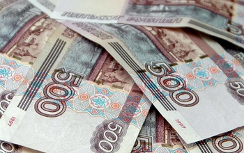 На гендиректора ЗАО «Птицефабрика Восточная» завели уголовное дело