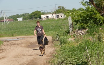 Бродячих псов в Оренбурге теперь будут помещать в приют