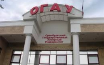 Рособрнадзор приостановил действие госаккредитации оренбургского вуза