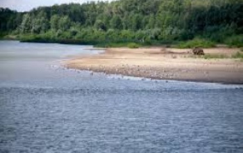 Роспотребнадзор запретил оренбуржцам купаться в Сакмаре