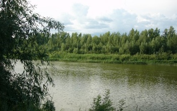В Оренбуржье утонули два ребенка 