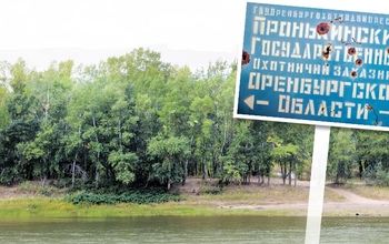 Оренбургским чиновникам закон не писан