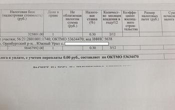 У жителя поселка Южный Урал Оренбургского района шесть соток оказались «золотыми»
