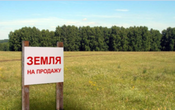 В Оренбургском районе глава сельсовета продал землю по заниженной цене