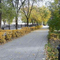 Какая погода ждет оренбуржцев на Покров?