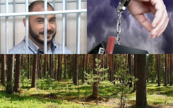 Чиновнику-взяточнику из минлесхоза Оренбуржья изменили меру пресечения 