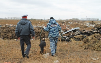 Пропавшего в Ташле ребенка обнаружили полицейские 