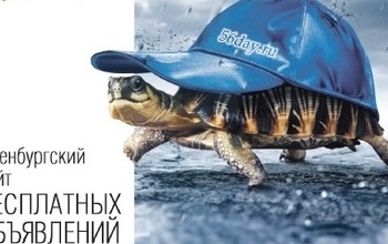 Для оренбуржцев открылся сайт бесплатных объявлений 56 day.ru