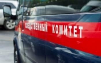 По факту смерти новорожденного возбуждено уголовное дело