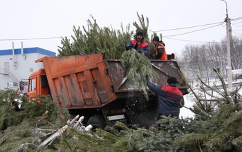 Новогодние елки, выброшенные оренбуржцами, превратили в опилки