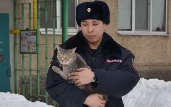 В Гае полицейские спасли кота, который всю ночь «плакал»