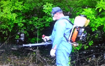 На борьбу с комарами в Оренбурге потратят 992 000 рублей