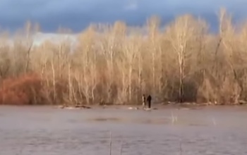 Двоих оренбуржцев на бревне унесло по реке 