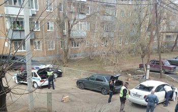 В Оренбурге спиленное дерево рухнуло на Volkswagen Polo