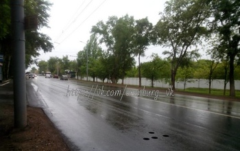 Оренбуржцы жалуются на странные ямы в новом асфальте