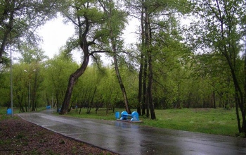 В Зауральной роще Оренбурга перевернули 18 бетонных скамеек
