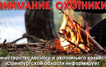 Внимание, охотники!