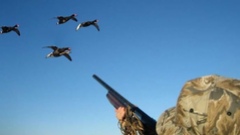 В Оренбургской области охотники расчехлят ружья 