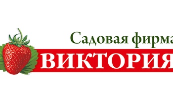 Удивительная малина в Оренбурге