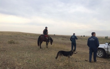 В Адамовском районе ищут детей, сбежавших от усыновителя