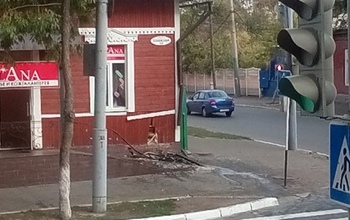 В центре Оренбурга иномарка врезалась в здание