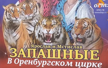 В Оренбург впервые прибыл цирк Мстислава Запашного