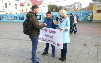 Дольщики 