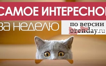 Чем оренбуржцам запомнится минувшая неделя